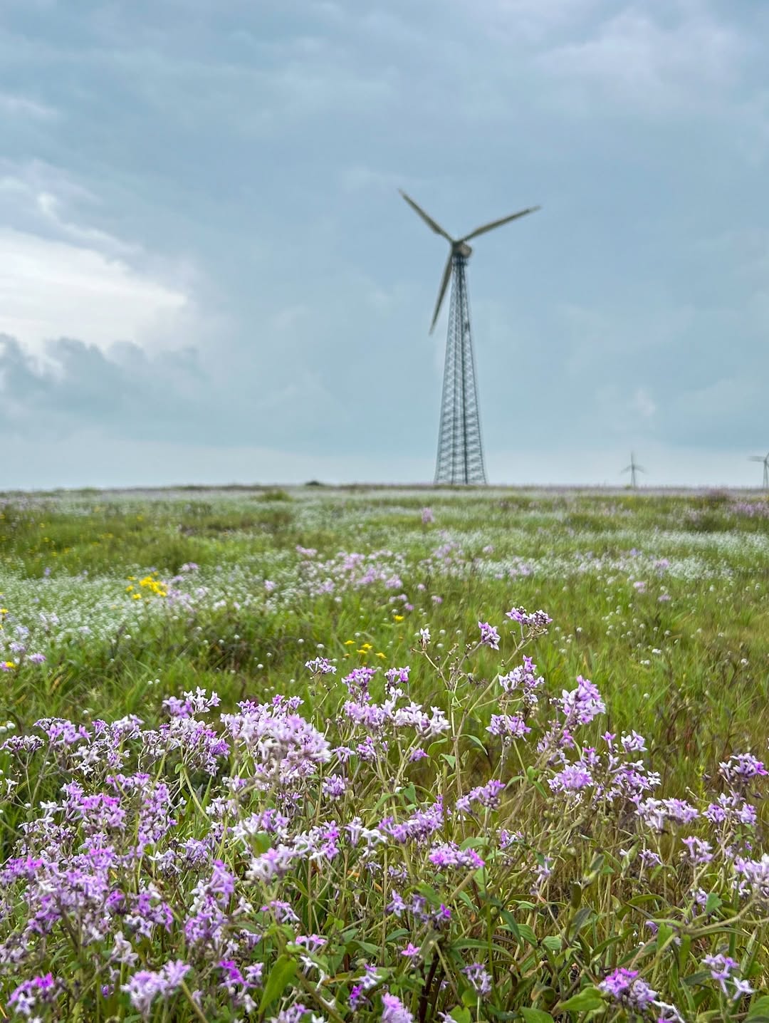Chalkewadi Windmill 3