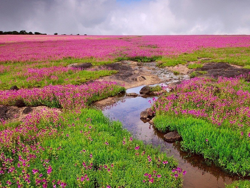 Kaas Plateau 3