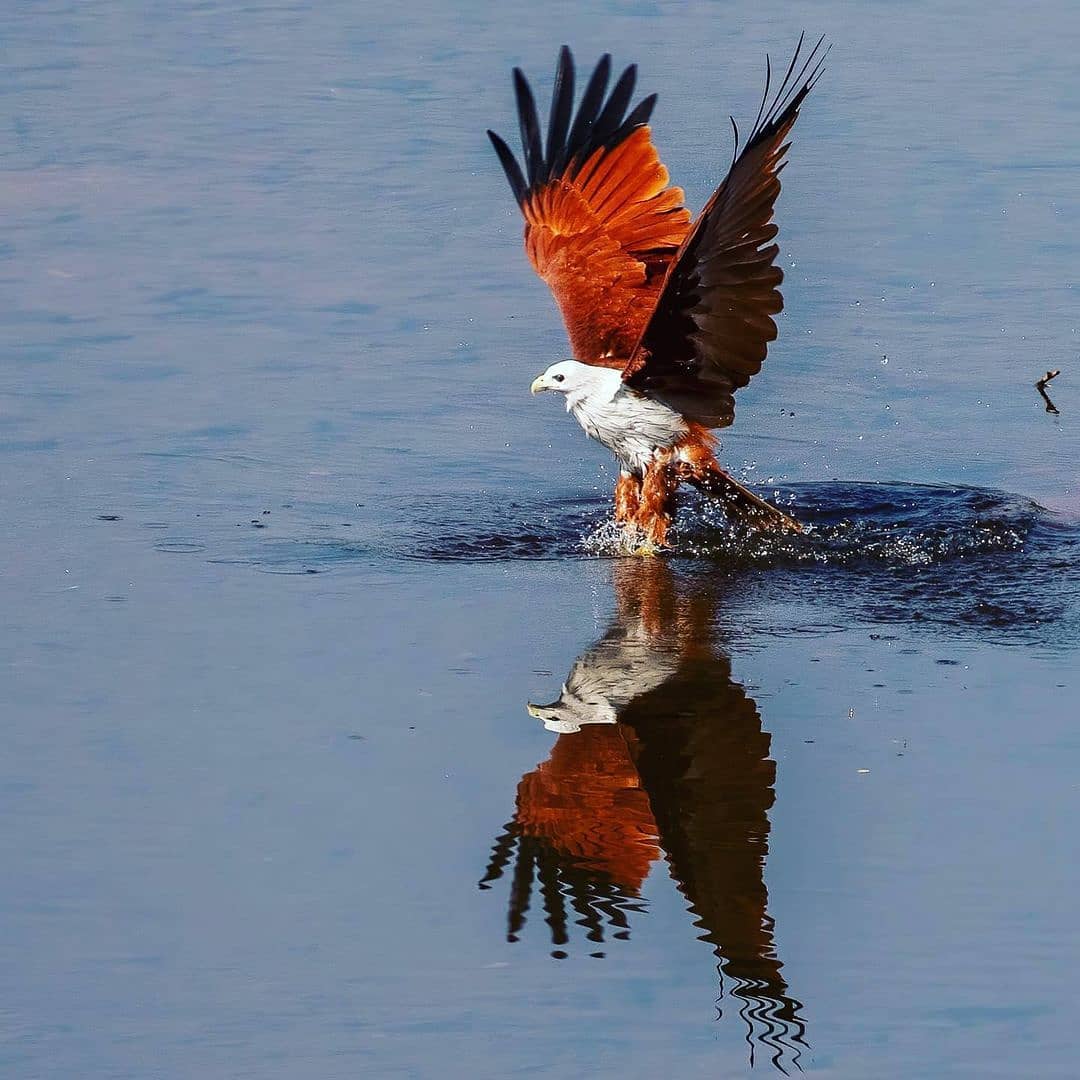 Koyna Wildlife Sanctuary 3