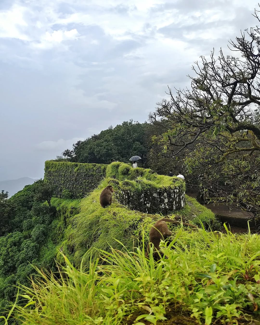 Pratapgad Fort 3